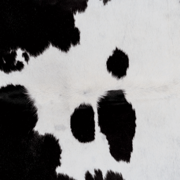 Bold Black White Cowhide Rug in a creative setting
