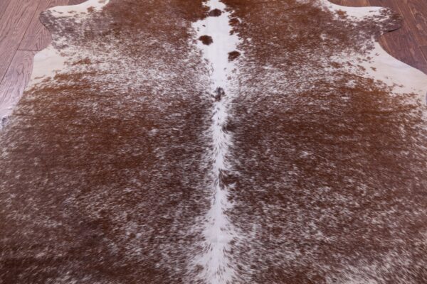Chestnut Cowhide Rug in Summer vs Winter Light